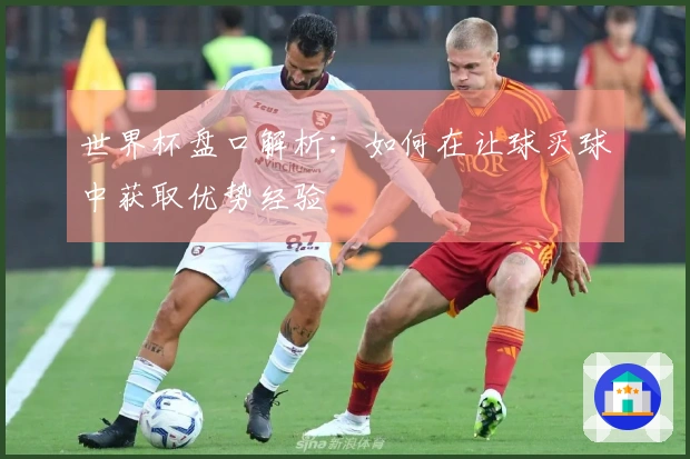 世界杯盘口解析:如何在让球买球中获取优势经验