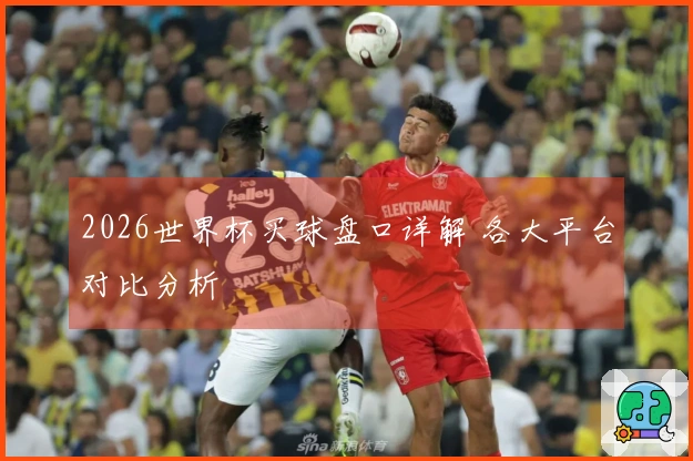 2026世界杯买球盘口详解 各大平台对比分析