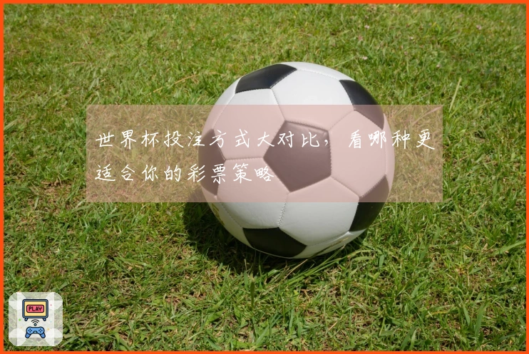 世界杯投注方式大对比，看哪种更适合你的彩票策略