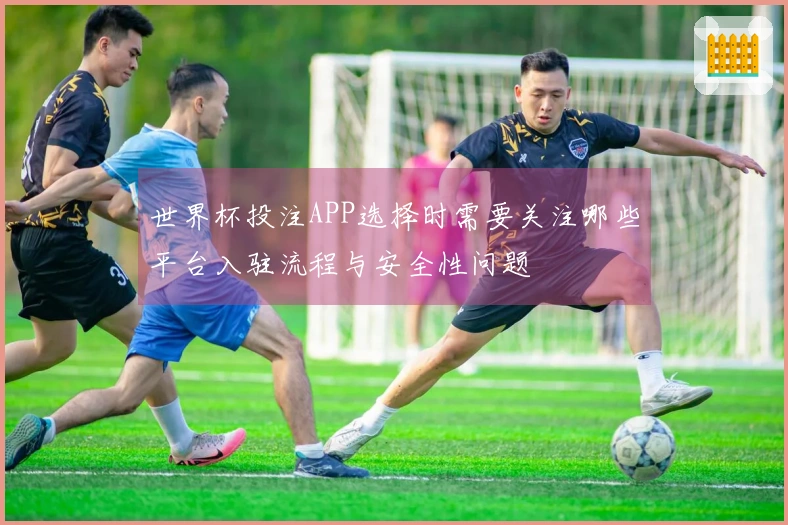 世界杯投注APP选择时需要关注哪些平台入驻流程与安全性问题