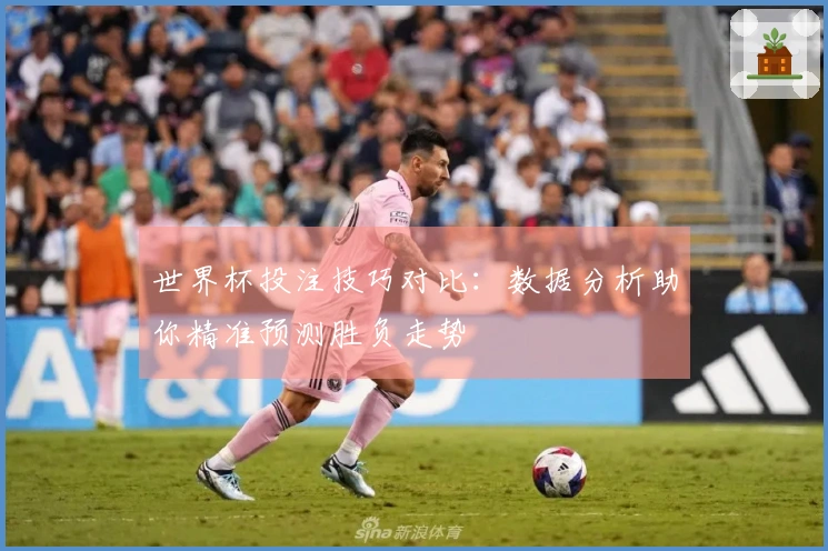 世界杯投注技巧对比：数据分析助你精准预测胜负走势