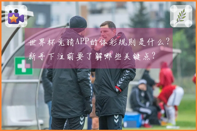 世界杯竞猜APP的体彩规则是什么？新手下注前要了解哪些关键点？