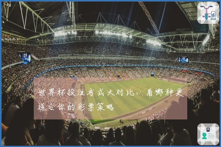世界杯投注方式大对比，看哪种更适合你的彩票策略