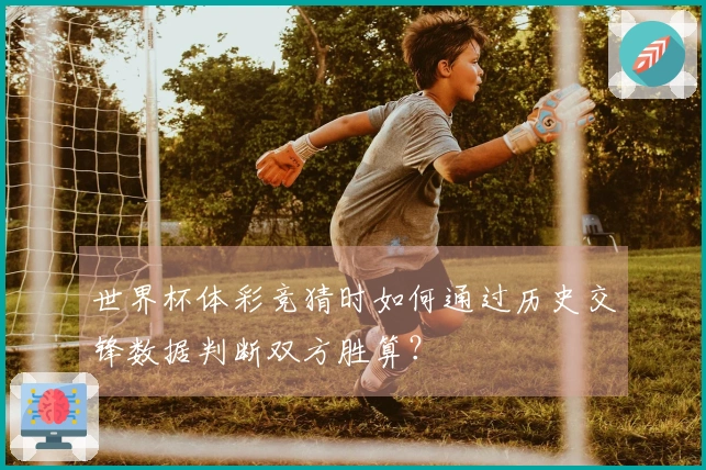 世界杯体彩竞猜时如何通过历史交锋数据判断双方胜算？