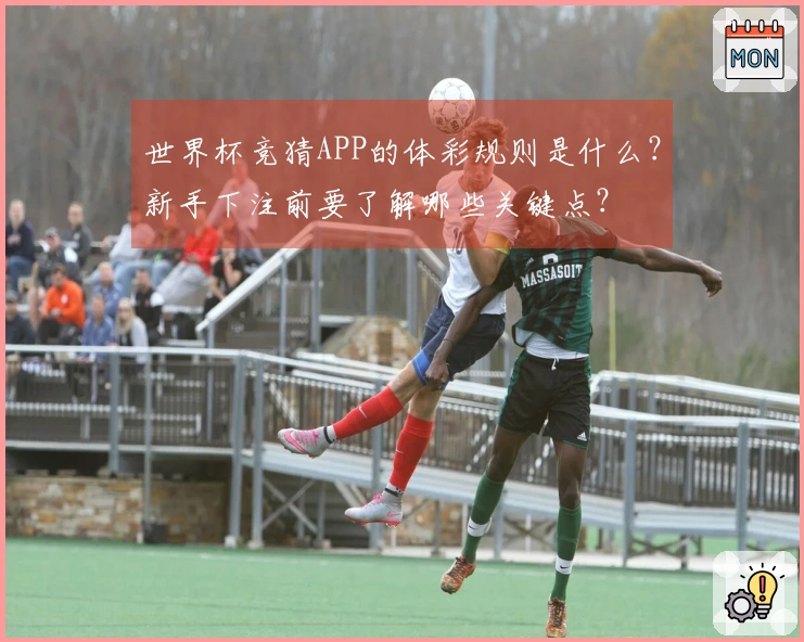 世界杯竞猜APP的体彩规则是什么？新手下注前要了解哪些关键点？